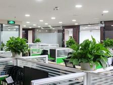 5号线大屯路东站(凯旋城)新出500平米精装修带家具随时看房