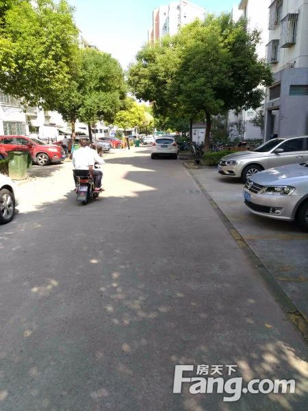 实景图