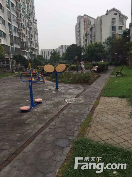 实景图