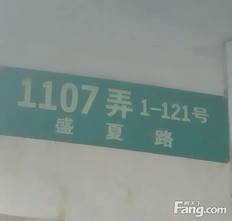 实景图
