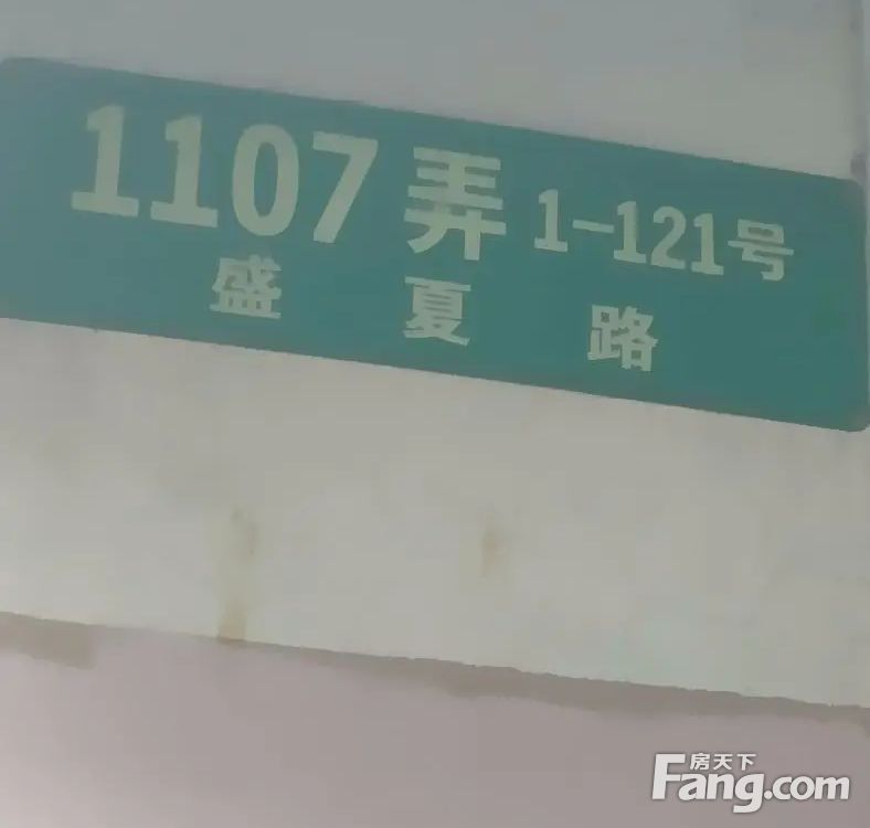 实景图
