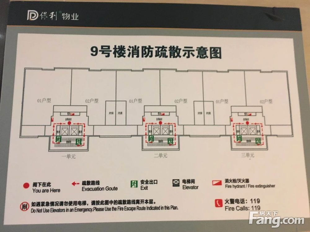 平面图