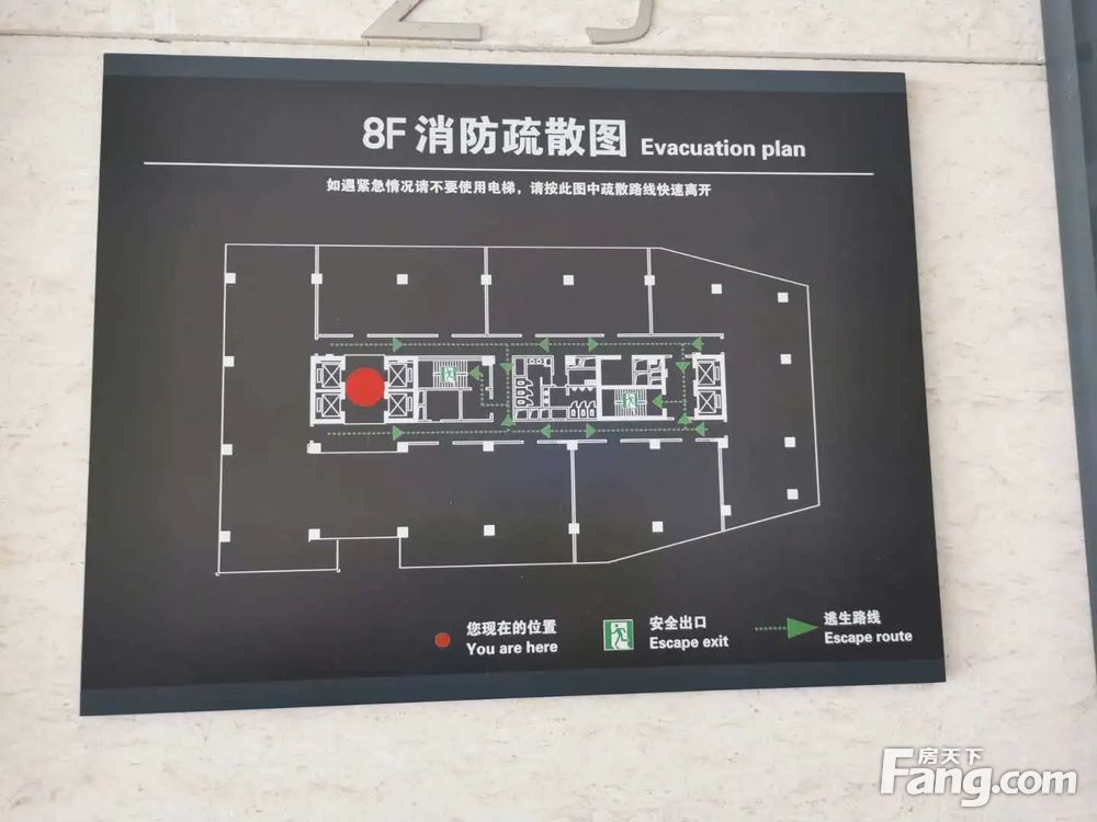 平面图