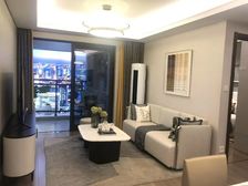 不买就是亏!120万入住中央公园东 万科精装洋房 双轻轨环绕