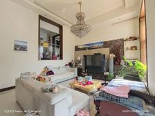 墅博汇 217平4居 南向精装修 安静不临街