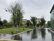 樱花湖畔,夏赏樱花冬观天鹅,荣成核芯内批特价