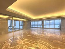 浦西外滩必看的江景房 270全江景 精装 全新未住过人
