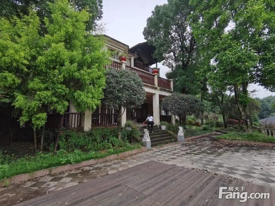 实景图