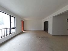 绿地中央公园洋房1楼2楼带地下室南北双院子 送车位使用面积大