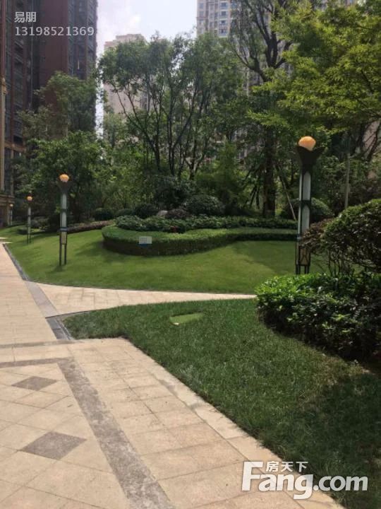 实景图
