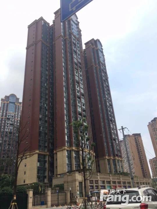 实景图