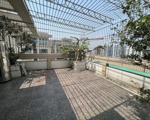 星洲家园 顶层复式185平4房 送大露台 买一层送一层实用大
