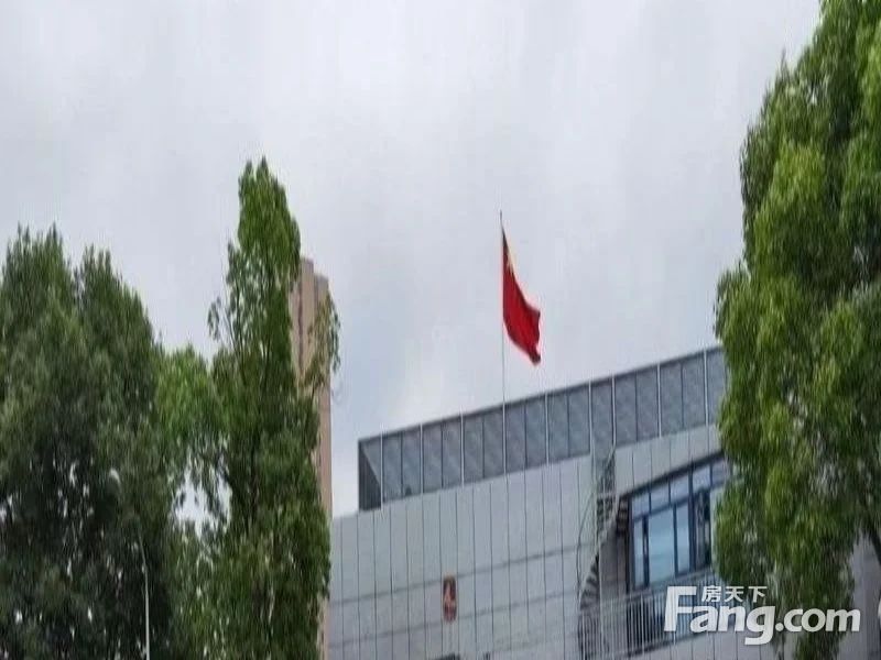 实景图