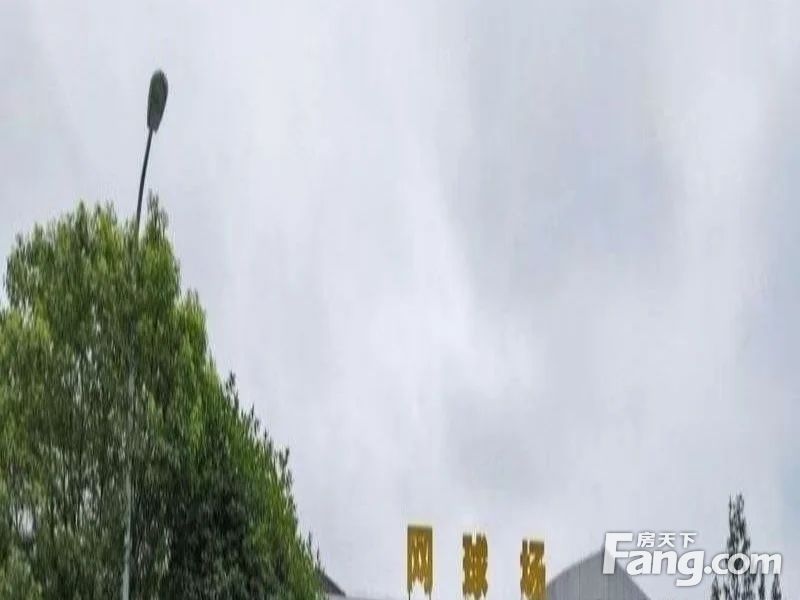 实景图