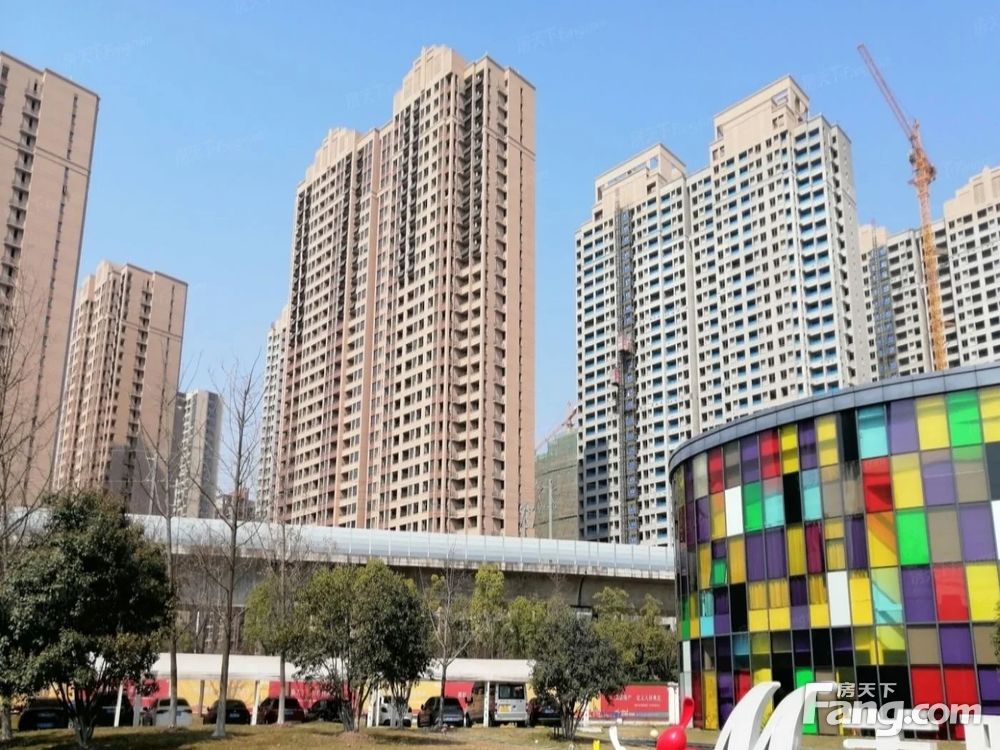 实景图