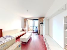 徐汇中环边上离黄浦江z近的次新房,板楼,户型正气