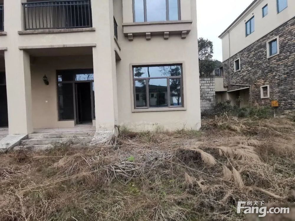实景图