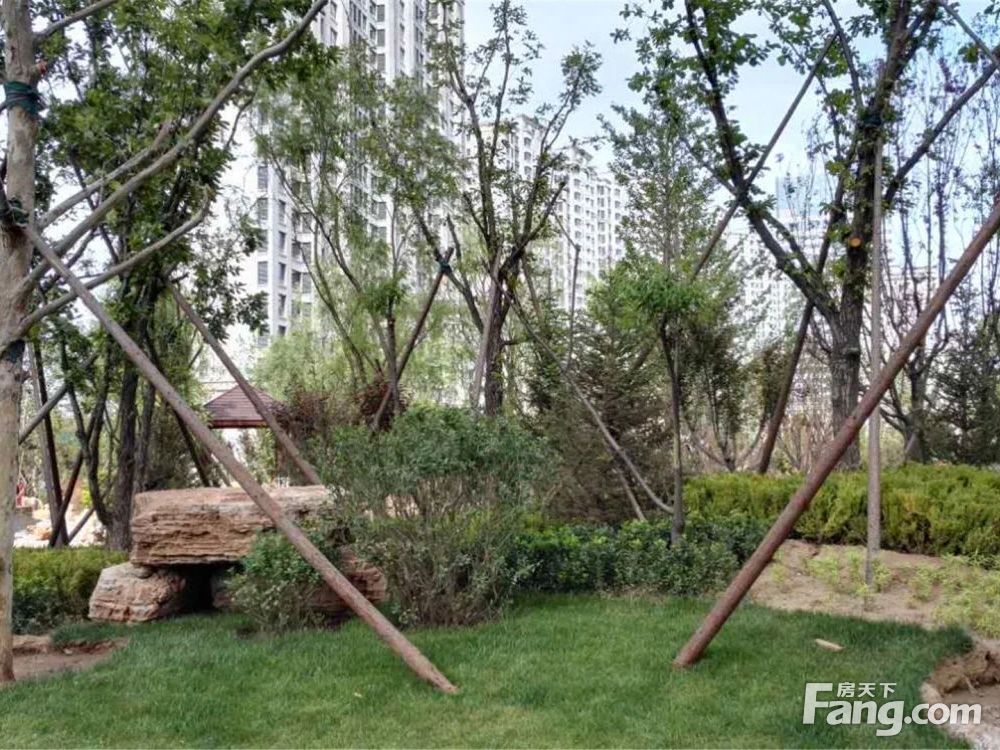 实景图