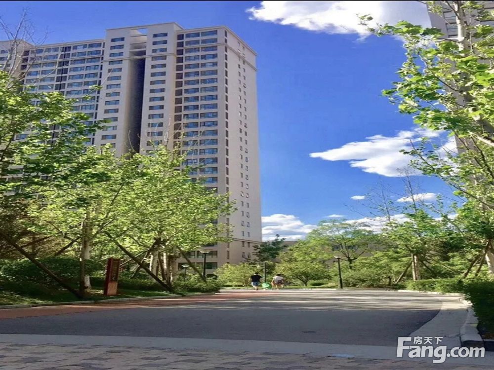 实景图
