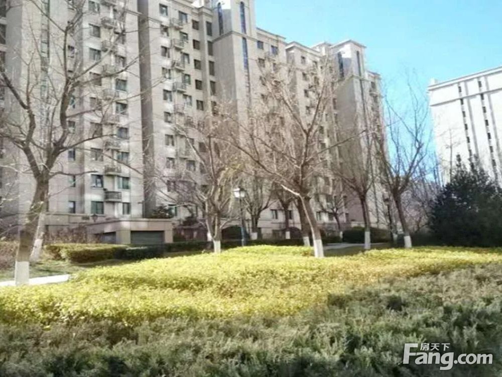 实景图