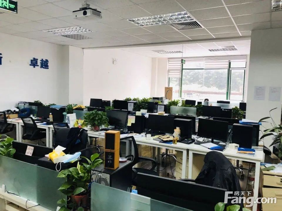 内景图