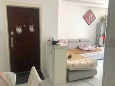 蓝色收获 66平2居 南北向精装修