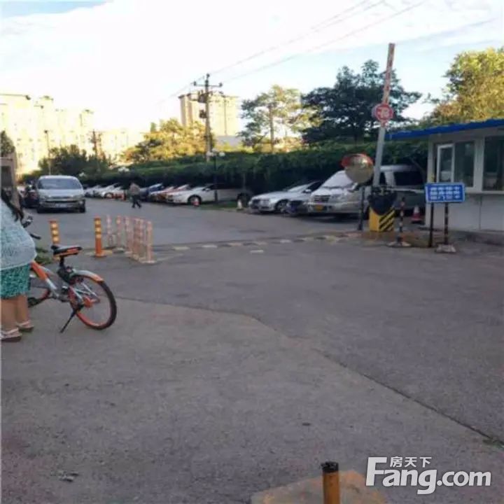 实景图