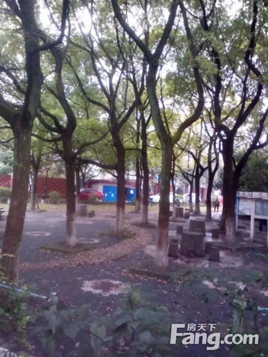 实景图