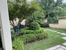 安吉绿城龙王溪 国际养生绿城服务 精装修高尔夫山地别墅