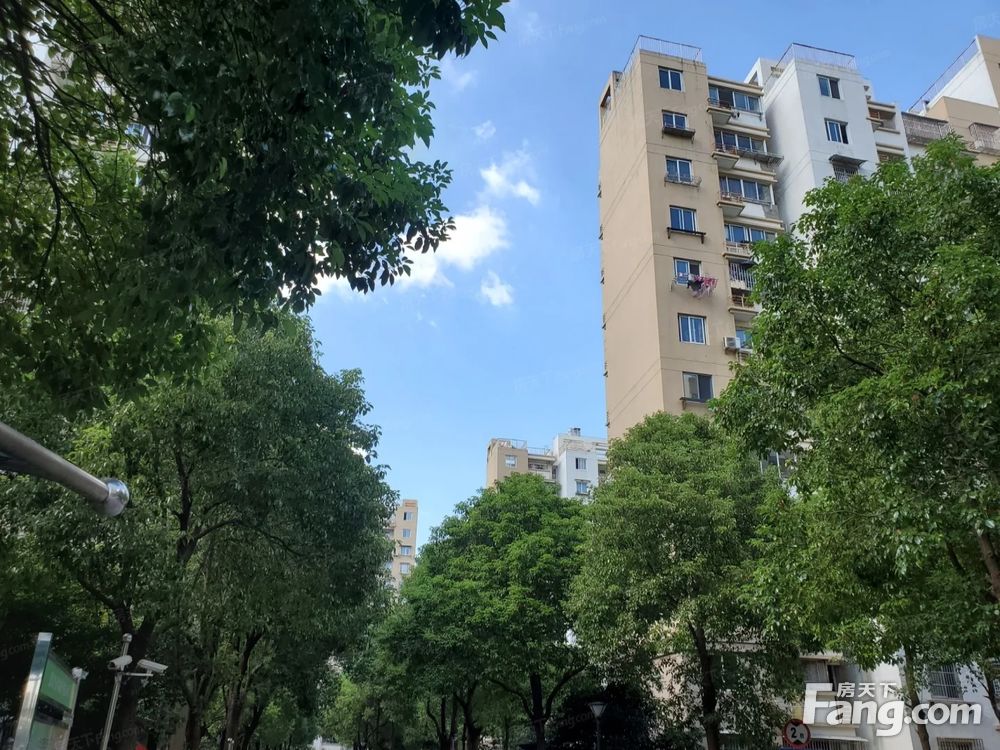 实景图