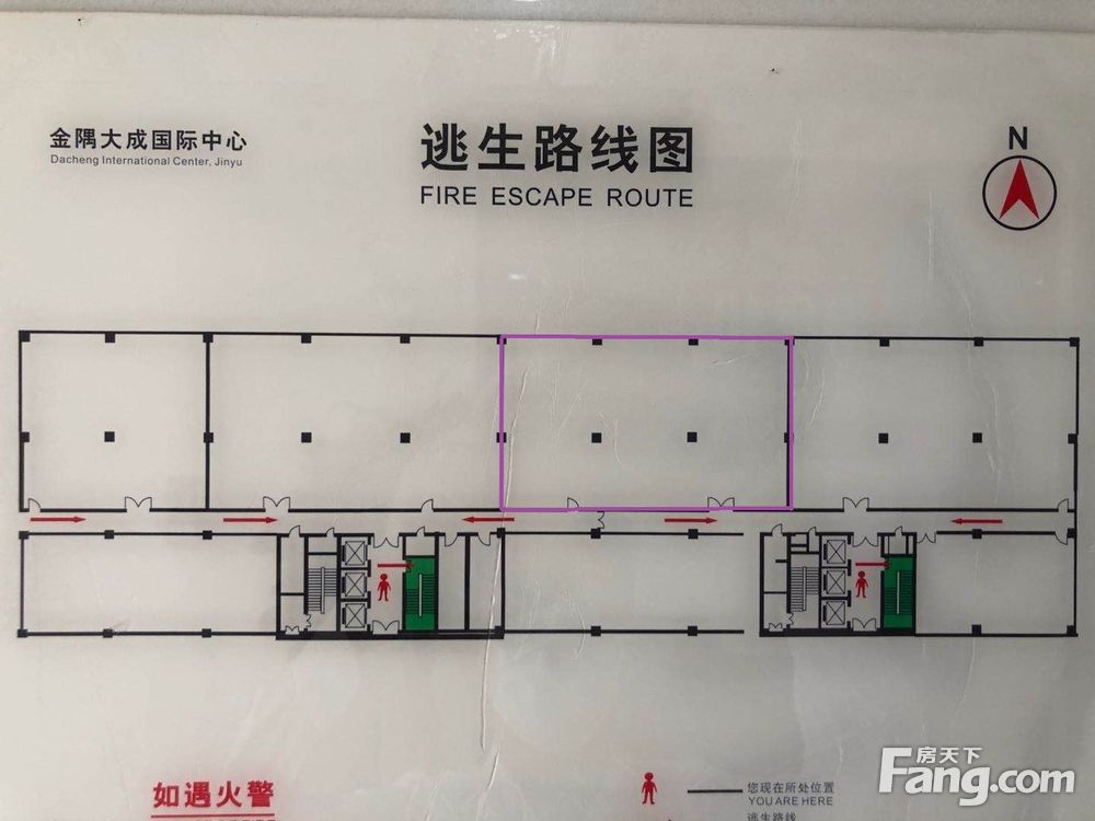 平面图