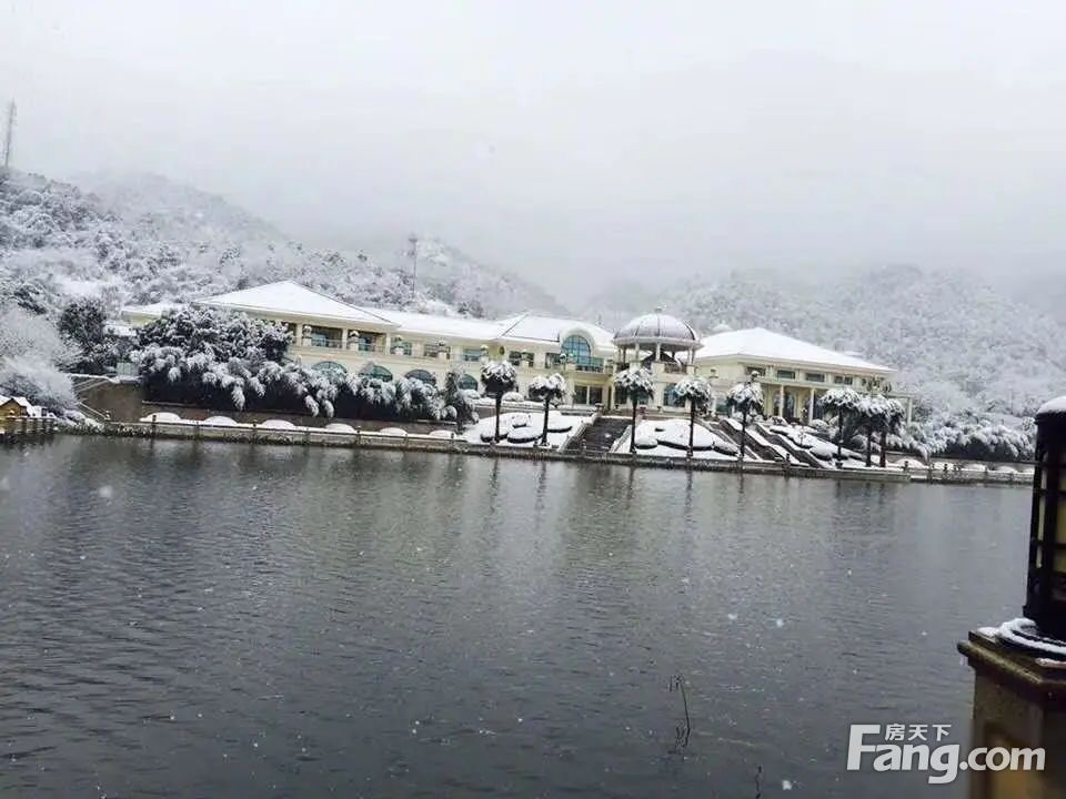 实景图
