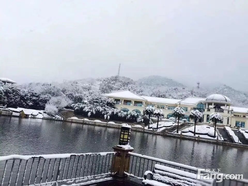 实景图