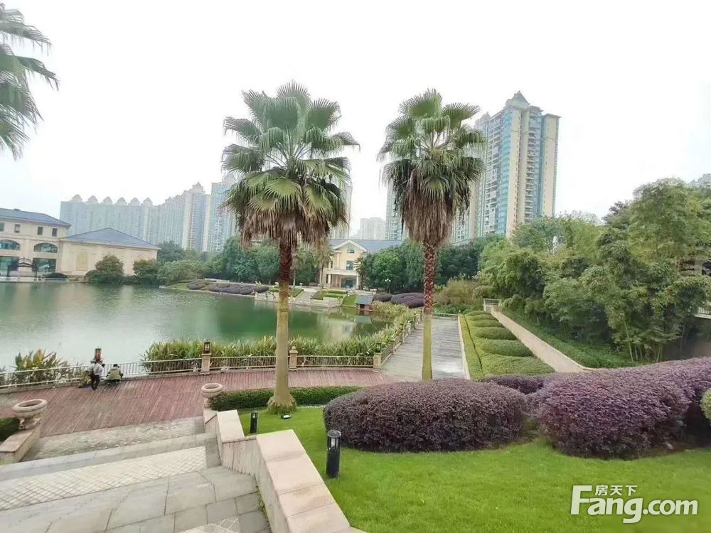 实景图
