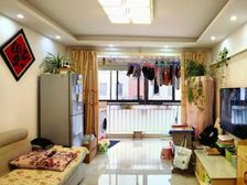 蓝色收获 66平2居 南北向精装修