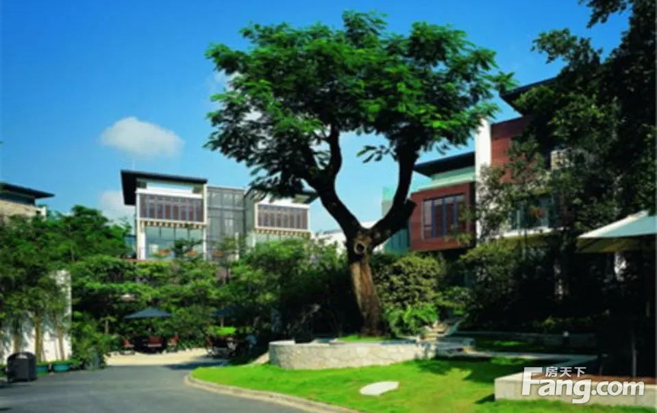 深圳龙岗横岗中海大山地别墅二手房 六室 - 房天下