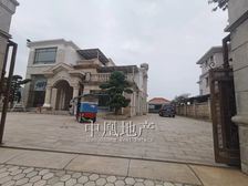 凤凰苑 638方大别墅 1300方花园 10个卧室 带泳池