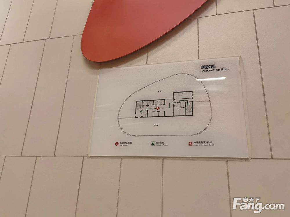 平面图