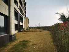 600万,临崖一线看江大洋房,花园200平,大横厅273平