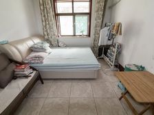 纬一路478号(省委三宿舍)?? 大院有食堂 精装修 全年采