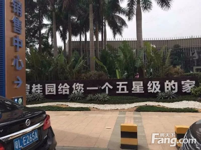在售碧桂园南站新城自带华附公立惠州南站12公里