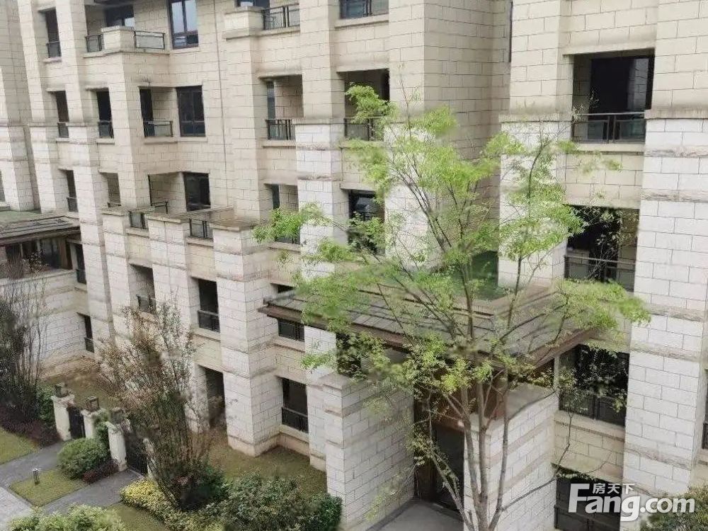 实景图