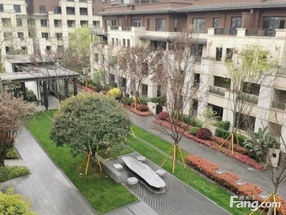实景图