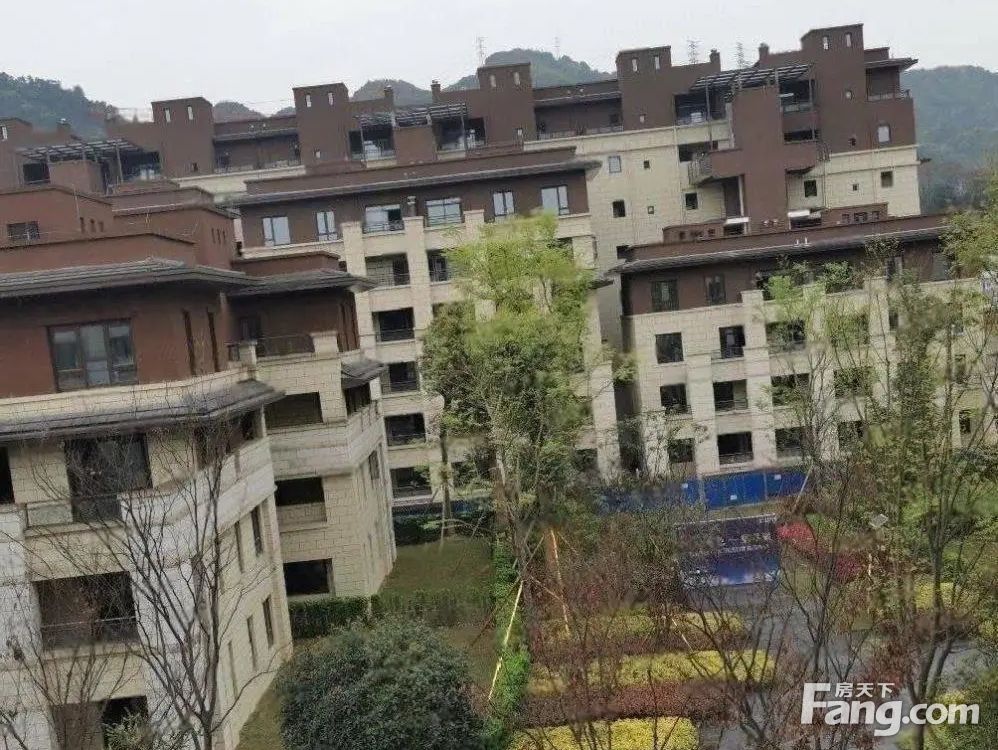 实景图