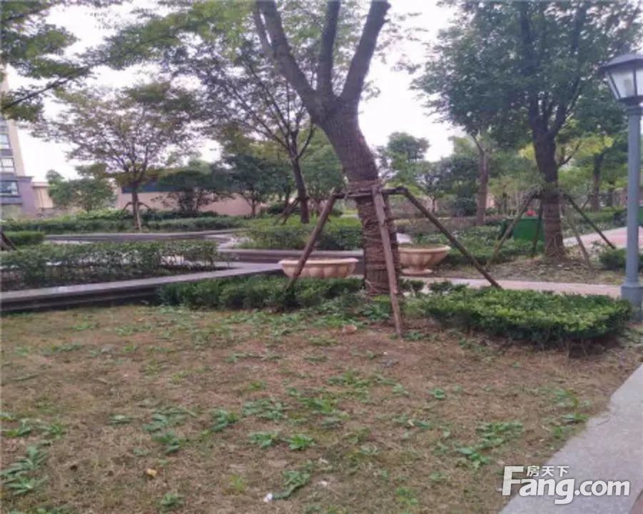 小区相关图
