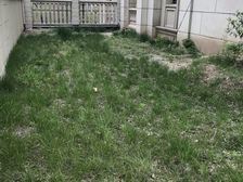 新房源 边户270平大花园 低市场价200万 3车位鸿园别墅