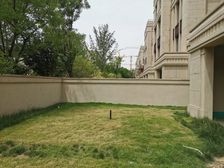 鸿园下叠边户 一百二十平南向花园 附送百平地下室 双车位