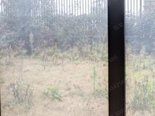 沿江第壹排(下叠,叠墅:带私家花园)雅戈尔新长岛137平白坯