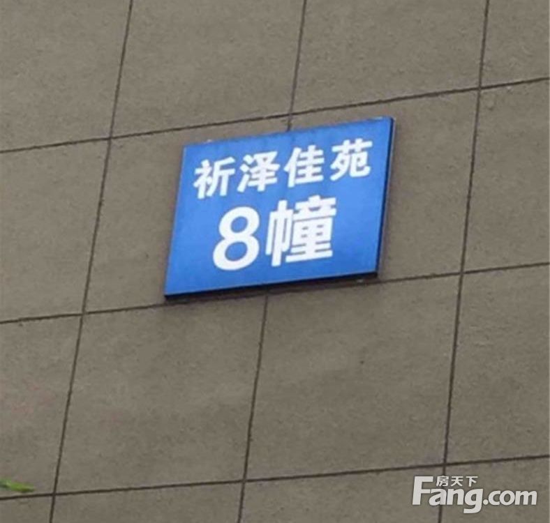 实景图