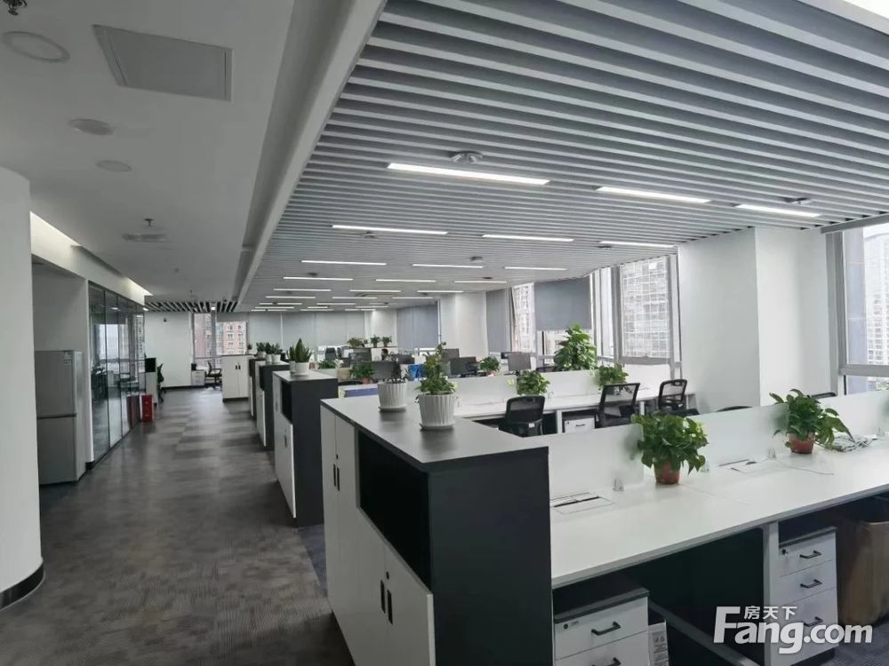 内景图